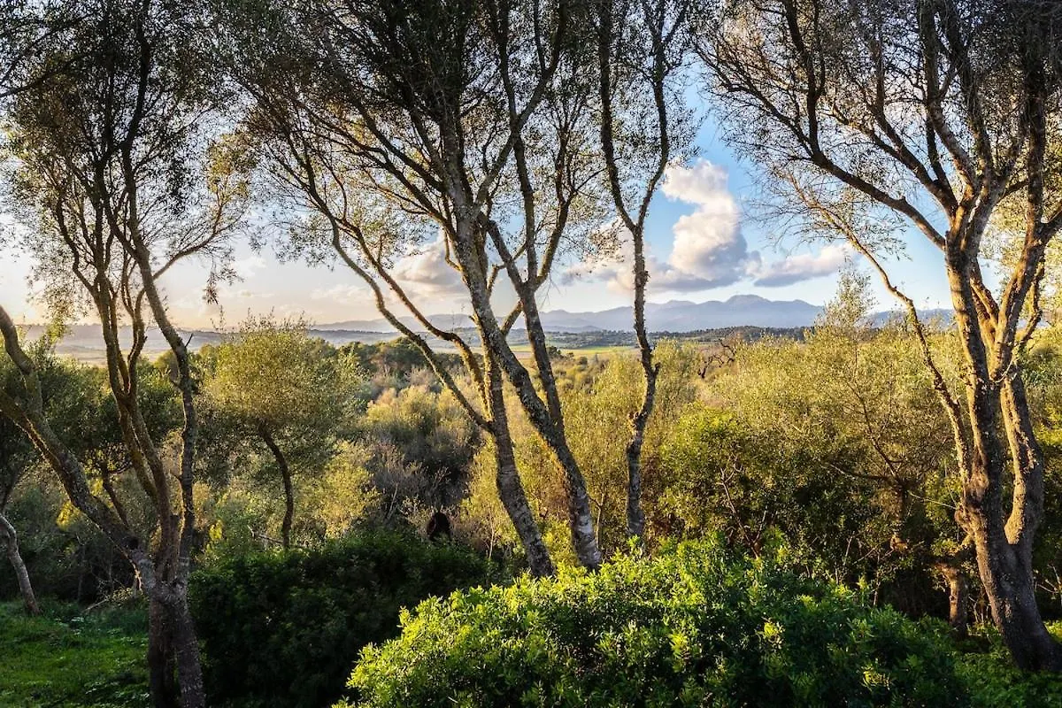 Ferienhaus Finca Es Pujol María de la Salud